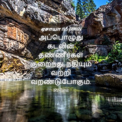 Picture 04 - ஏசாயா 19:5 TAMIRV - அப்பொழுது கடலின் - Bible Verse Picture