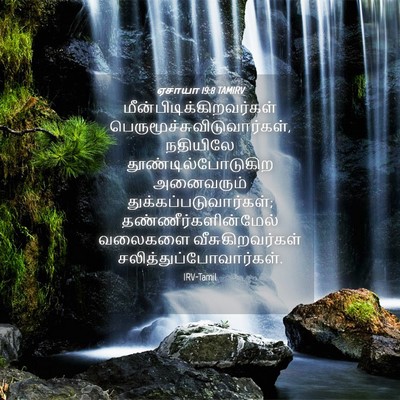 Picture 04 - ஏசாயா 19:8 TAMIRV -  - Bible Verse Picture