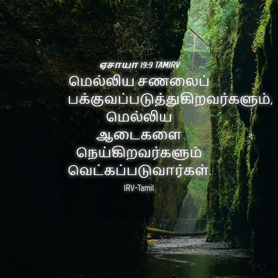 Picture 04 - ஏசாயா 19:9 TAMIRV - மெல்லிய சணலைப் - Bible Verse Picture