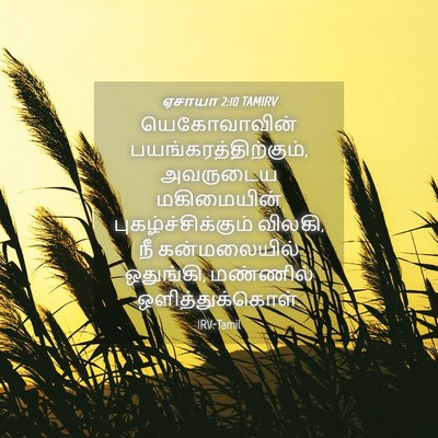 Picture 04 - ஏசாயா 2:10 TAMIRV - யெகோவாவின் - Bible Verse Picture