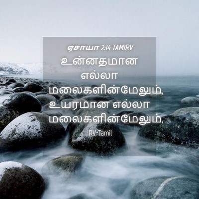 Picture 04 - ஏசாயா 2:14 TAMIRV - உன்னதமான எல்லா - Bible Verse Picture