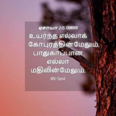 Picture 04 - ஏசாயா 2:15 TAMIRV - உயர்ந்த எல்லாக் - Bible Verse Picture