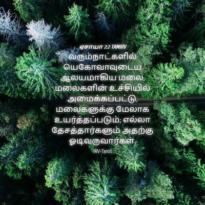 Picture 04 - ஏசாயா 2:2 TAMIRV - வரும்நாட்களில் - Bible Verse Picture