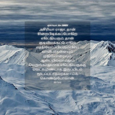 Picture 04 - ஏசாயா 20:4 TAMIRV - அசீரியா ராஜா, தான் - Bible Verse Picture