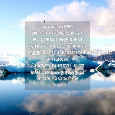 Picture 04 - ஏசாயா 20:5 TAMIRV - அப்பொழுது இந்தக் - Bible Verse Picture