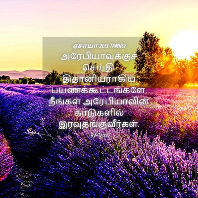 Picture 04 - ஏசாயா 21:13 TAMIRV - அரேபியாவுக்குச் - Bible Verse Picture