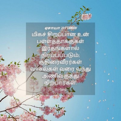 Picture 04 - ஏசாயா 22:7 TAMIRV - மிகச் சிறப்பான - Bible Verse Picture