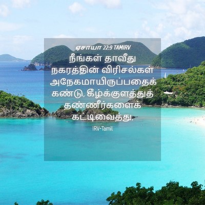 Picture 04 - ஏசாயா 22:9 TAMIRV - நீங்கள் தாவீது - Bible Verse Picture