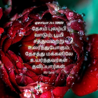 Picture 04 - ஏசாயா 24:4 TAMIRV - தேசம் புலம்பி - Bible Verse Picture