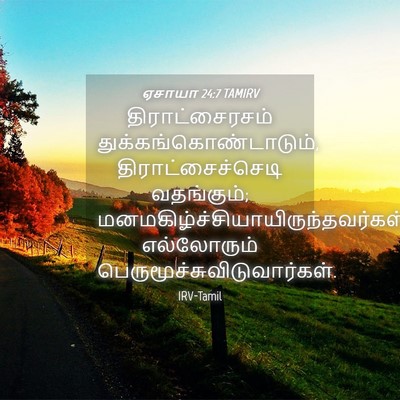 Picture 04 - ஏசாயா 24:7 TAMIRV - திராட்சைரசம் - Bible Verse Picture