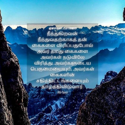 Picture 04 - ஏசாயா 25:11 TAMIRV - நீந்துகிறவன் - Bible Verse Picture