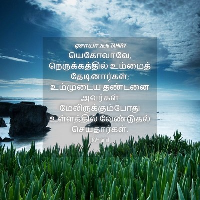 Picture 04 - ஏசாயா 26:16 TAMIRV - யெகோவாவே, - Bible Verse Picture