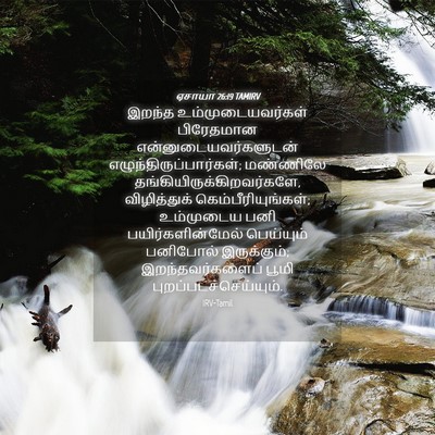 Picture 04 - ஏசாயா 26:19 TAMIRV - இறந்த - Bible Verse Picture