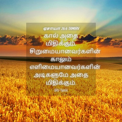 Picture 04 - ஏசாயா 26:6 TAMIRV - கால் அதை - Bible Verse Picture