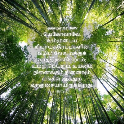 Picture 04 - ஏசாயா 26:8 TAMIRV - யெகோவாவே, - Bible Verse Picture