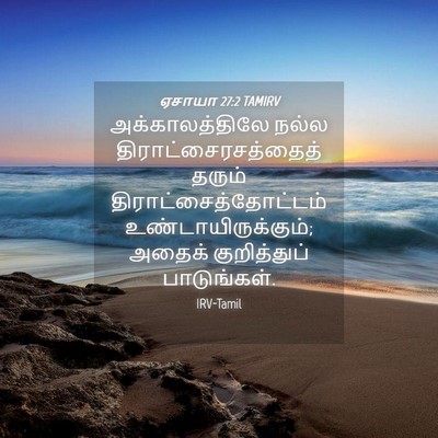 Picture 04 - ஏசாயா 27:2 TAMIRV - அக்காலத்திலே நல்ல - Bible Verse Picture