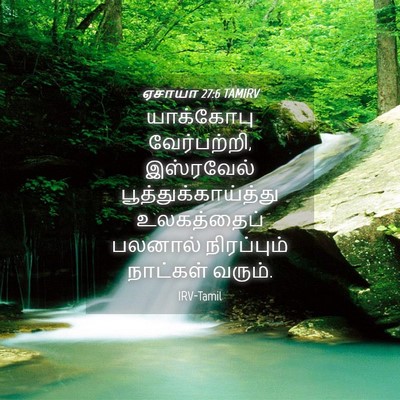 Picture 04 - ஏசாயா 27:6 TAMIRV - யாக்கோபு - Bible Verse Picture