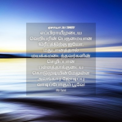 Picture 04 - ஏசாயா 28:1 TAMIRV - எப்பிராயீமுடைய - Bible Verse Picture