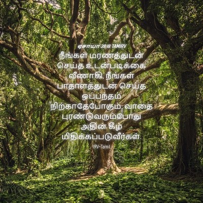 Picture 04 - ஏசாயா 28:18 TAMIRV - நீங்கள் - Bible Verse Picture