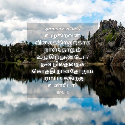 Picture 04 - ஏசாயா 28:24 TAMIRV - உழுகிறவன் - Bible Verse Picture