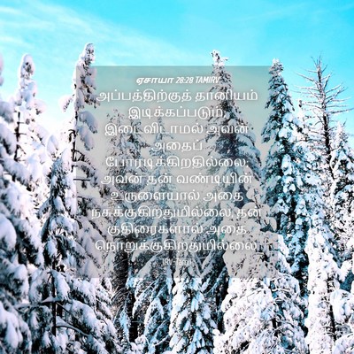 Picture 04 - ஏசாயா 28:28 TAMIRV - அப்பத்திற்குத் - Bible Verse Picture