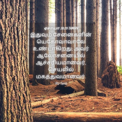 Picture 04 - ஏசாயா 28:29 TAMIRV - இதுவும் சேனைகளின் - Bible Verse Picture