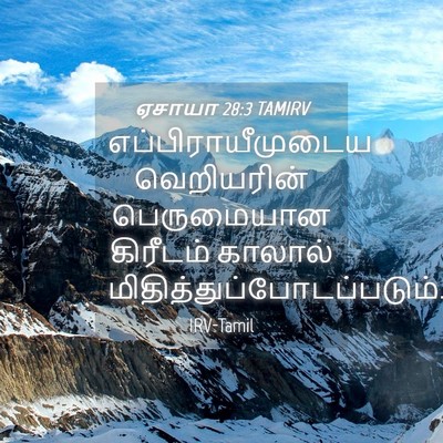 Picture 04 - ஏசாயா 28:3 TAMIRV - எப்பிராயீமுடைய - Bible Verse Picture