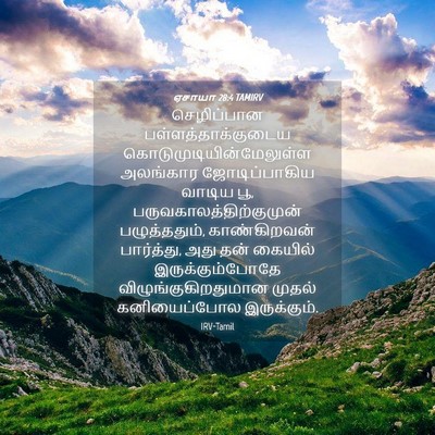 Picture 04 - ஏசாயா 28:4 TAMIRV - செழிப்பான - Bible Verse Picture