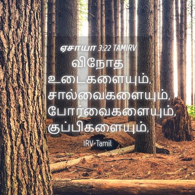 Picture 04 - ஏசாயா 3:22 TAMIRV - விநோத உடைகளையும், - Bible Verse Picture