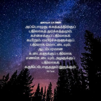 Picture 04 - ஏசாயா 3:24 TAMIRV - அப்பொழுது, - Bible Verse Picture