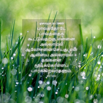 Picture 04 - ஏசாயா 30:1 TAMIRV - பாவத்தோடே - Bible Verse Picture