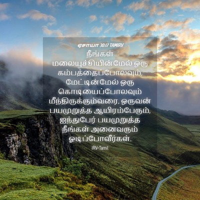 Picture 04 - ஏசாயா 30:17 TAMIRV - நீங்கள் - Bible Verse Picture