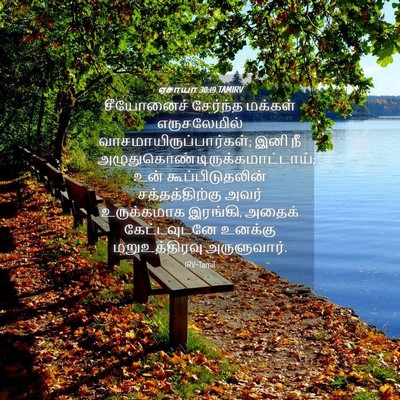 Picture 04 - ஏசாயா 30:19 TAMIRV - சீயோனைச் சேர்ந்த - Bible Verse Picture