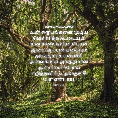 Picture 04 - ஏசாயா 30:22 TAMIRV - உன் சுரூபங்களை - Bible Verse Picture