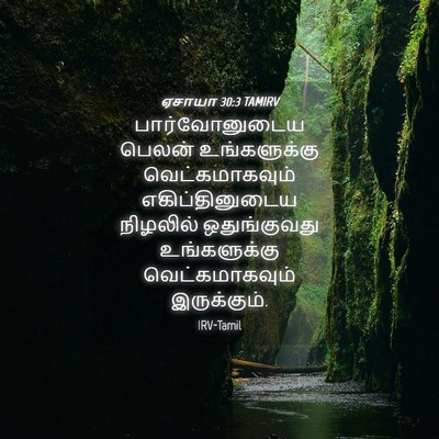 Picture 04 - ஏசாயா 30:3 TAMIRV - பார்வோனுடைய பெலன் - Bible Verse Picture