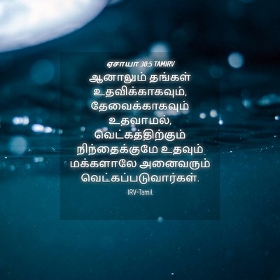 Picture 04 - ஏசாயா 30:5 TAMIRV - ஆனாலும் தங்கள் - Bible Verse Picture
