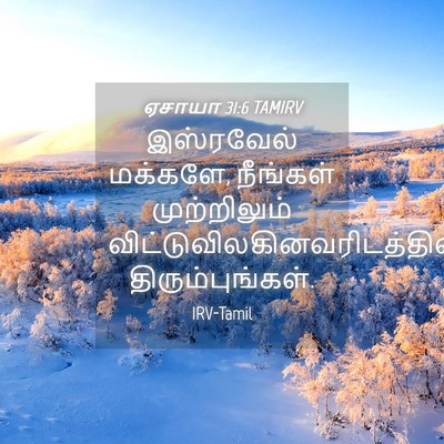 Picture 04 - ஏசாயா 31:6 TAMIRV - இஸ்ரவேல் மக்களே, - Bible Verse Picture