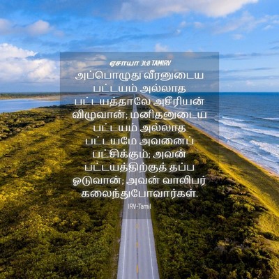 Picture 04 - ஏசாயா 31:8 TAMIRV - அப்பொழுது - Bible Verse Picture