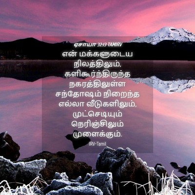 Picture 04 - ஏசாயா 32:13 TAMIRV - என் மக்களுடைய - Bible Verse Picture