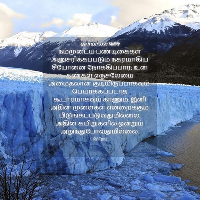 Picture 04 - ஏசாயா 33:20 TAMIRV - நம்முடைய - Bible Verse Picture