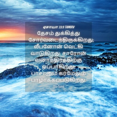 Picture 04 - ஏசாயா 33:9 TAMIRV - தேசம் துக்கித்து - Bible Verse Picture