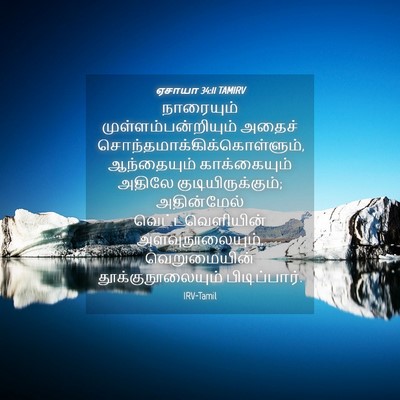 Picture 04 - ஏசாயா 34:11 TAMIRV - நாரையும் - Bible Verse Picture