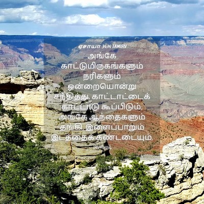 Picture 04 - ஏசாயா 34:14 TAMIRV - அங்கே - Bible Verse Picture