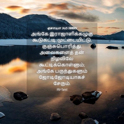 Picture 04 - ஏசாயா 34:15 TAMIRV - அங்கே - Bible Verse Picture