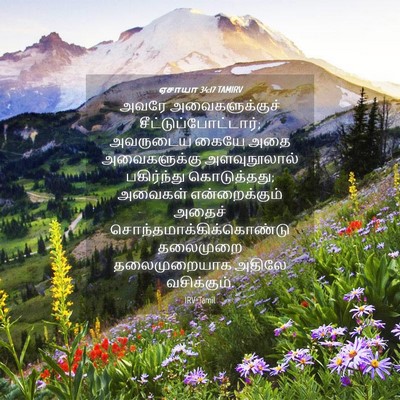 Picture 04 - ஏசாயா 34:17 TAMIRV - அவரே அவைகளுக்குச் - Bible Verse Picture