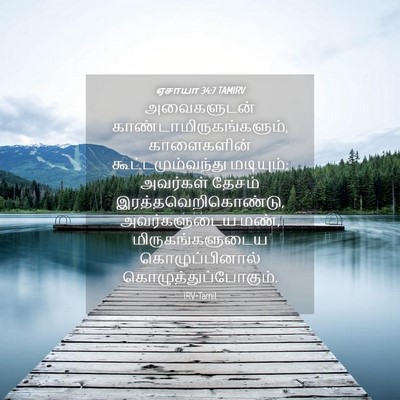 Picture 04 - ஏசாயா 34:7 TAMIRV - அவைகளுடன் - Bible Verse Picture