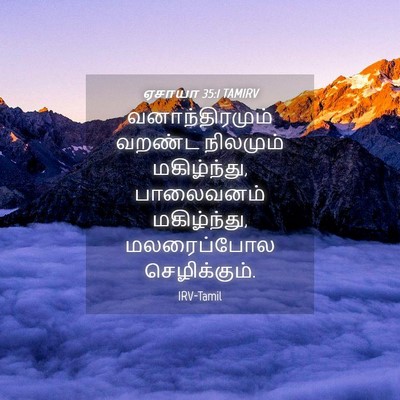 Picture 04 - ஏசாயா 35:1 TAMIRV - வனாந்திரமும் - Bible Verse Picture
