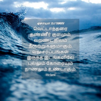 Picture 04 - ஏசாயா 35:7 TAMIRV - வெட்டாந்தரை - Bible Verse Picture