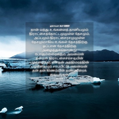 Picture 04 - ஏசாயா 36:17 TAMIRV - நான் வந்து, - Bible Verse Picture