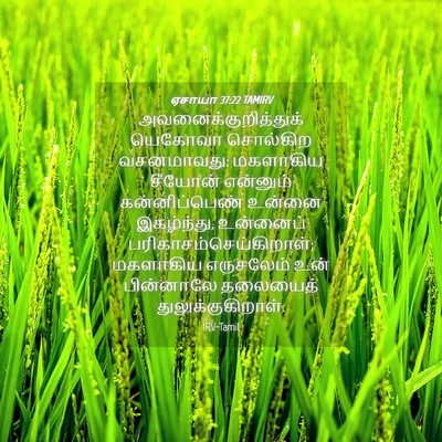 Picture 04 - ஏசாயா 37:22 TAMIRV - அவனைக்குறித்துக் - Bible Verse Picture